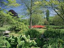 Lily Gardens and Strode House, Barrington Court, Somerset, England, United Kingdom-Chris Nicholson-Photographic Print