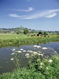 River Brue with Glastonbury Tor in the Distance, Somerset, England, United Kingdom-Chris Nicholson-Framed Photographic Print