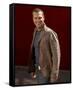 Chris O'Donnell-null-Framed Stretched Canvas