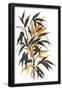 Essential Black