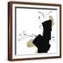 Brown Frame