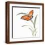 Brown Frame