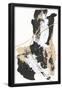 Essential Black