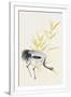 Gramercy White