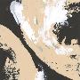 Laminate