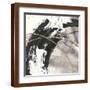 Brown Frame