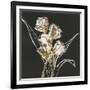 Gramercy Black