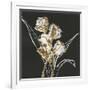 Gramercy White