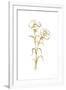 Gramercy White