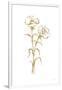 Gramercy White
