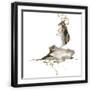 Black Frame