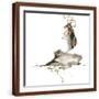 Brown Frame