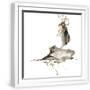 White Frame