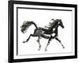 Gramercy Black