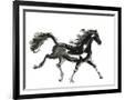 Gramercy Black