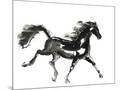 Wood Mount