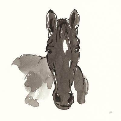 Horse Portrait IV