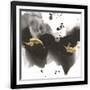 Gramercy Black
