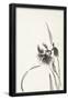 Essential Black