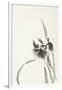 Gramercy White