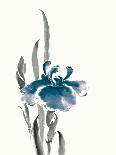 Japanese Iris II Crop Indigo-Chris Paschke-Art Print