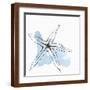 Brown Frame