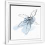 Gramercy White