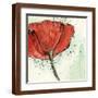 Brown Frame