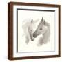 Brown Frame
