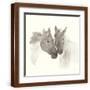 Brown Frame