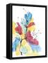 Framed Canvas