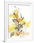 Gramercy White