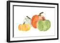 Chelsea Black