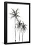 Essential Black