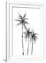 Gramercy White
