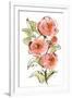 Gramercy White