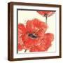 Brown Frame
