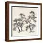 Brown Frame