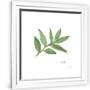 Gramercy White