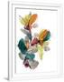 Gramercy White