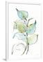 Gramercy White