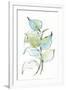 Gramercy White
