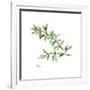 Gramercy White