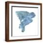 Brown Frame