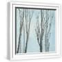 White Frame