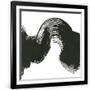 Gramercy Black