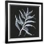 Gramercy Black