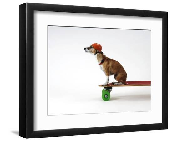 Photographic Print, , large