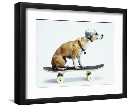 Premium Photographic Print, , large