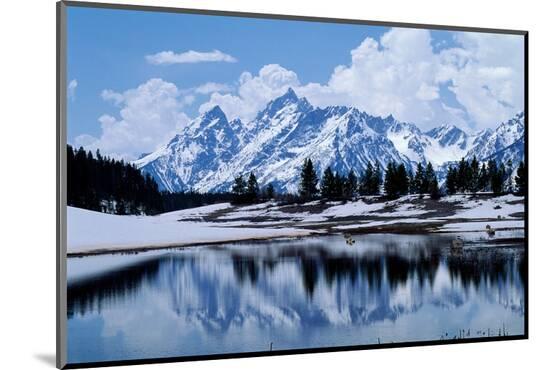 Photographic Print, , large